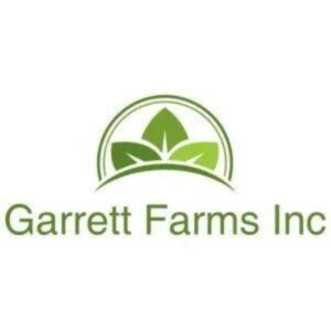 cropped 517996277 1180202417243456 4604121587792633101 n.jpg